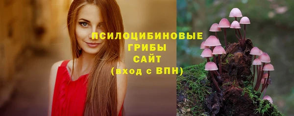 трава Сатка
