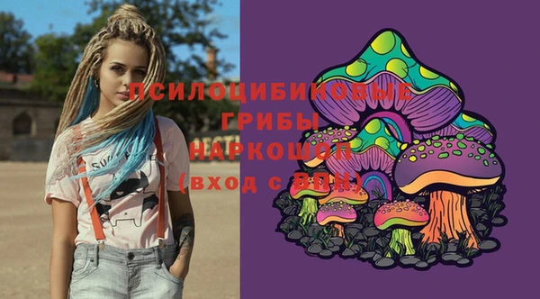 трава Сатка