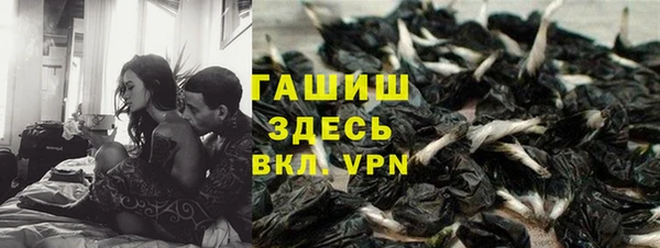 трава Сатка