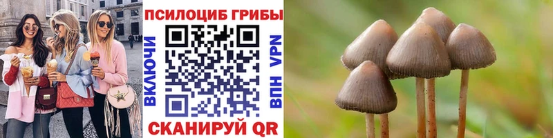 Псилоцибиновые грибы Psilocybine cubensis мега tor Белоярский